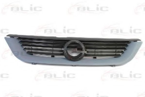 Grila radiator