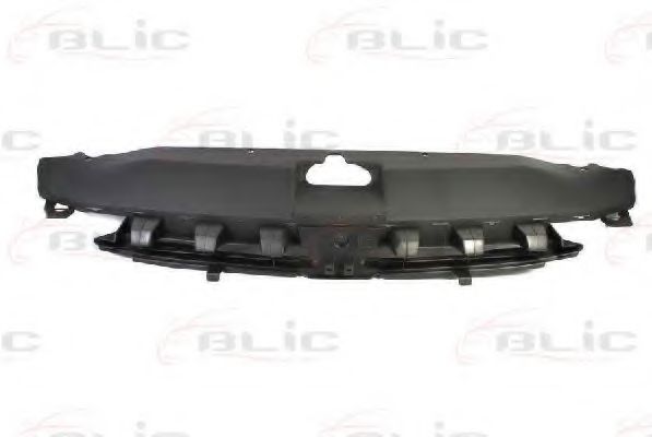Grila radiator