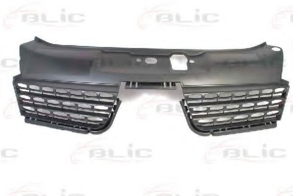 Grila radiator