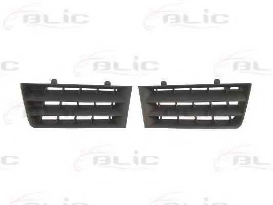 Grila radiator