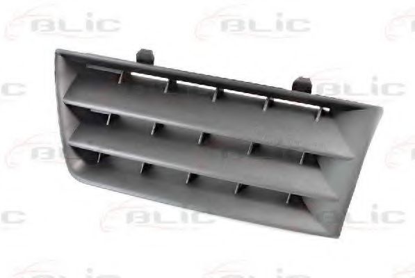 Grila radiator