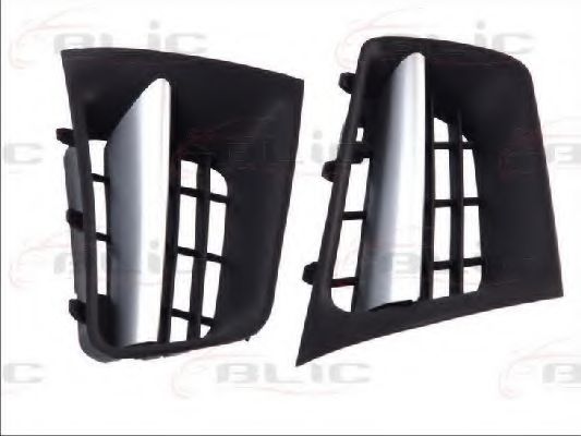 Grila radiator