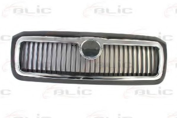 Grila radiator