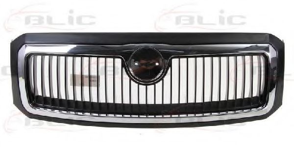 Grila radiator