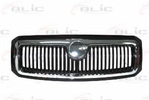 Grila radiator