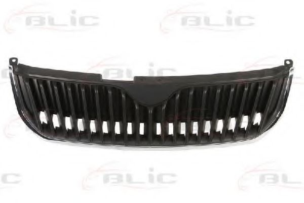 Grila radiator