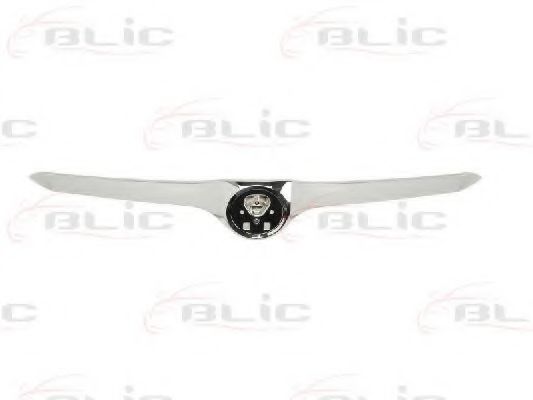 Banda de protectie, grila radiator