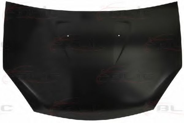 Capota motor