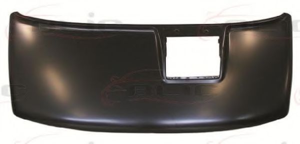 Capota motor