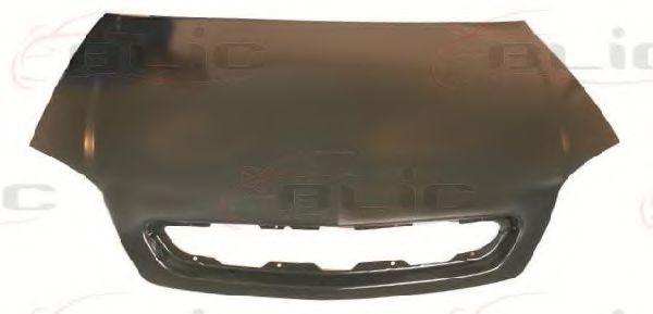 Capota motor