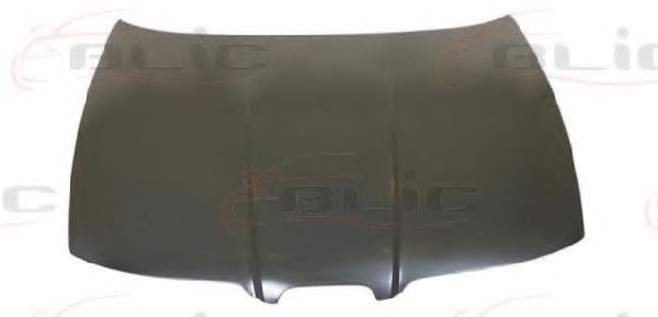 Capota motor