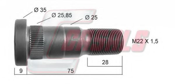 Bolt roata
