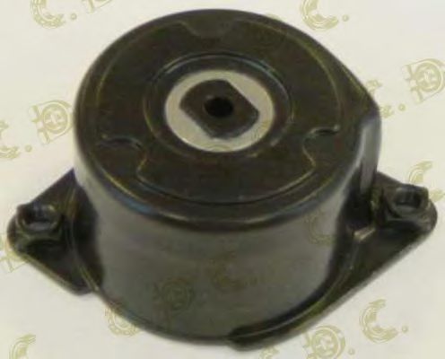 intinzator,curea transmisie