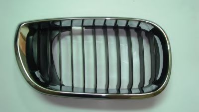 Grila radiator