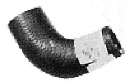 Furtun radiator