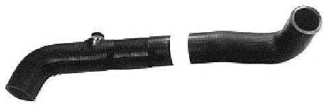 Furtun radiator