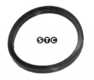 Garnitura termostat