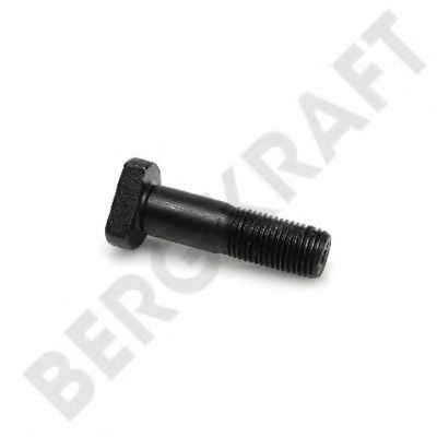 Bolt roata