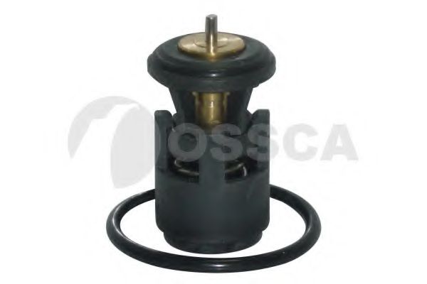termostat,lichid racire