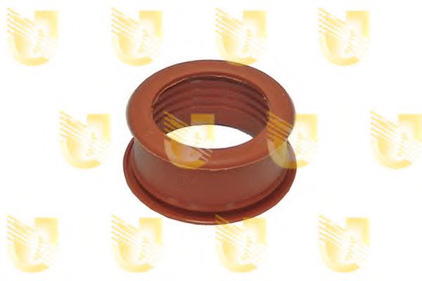 Furtun ear supraalimentare