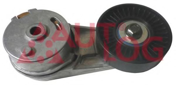 intinzator,curea transmisie