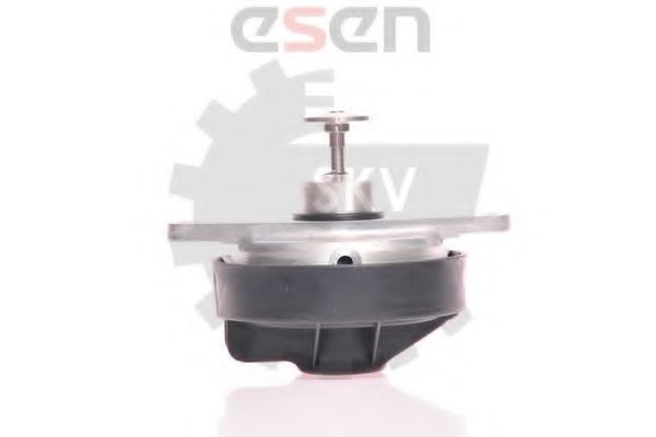 Supapa EGR