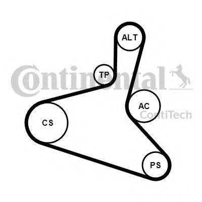 Set curea transmisie cu caneluri