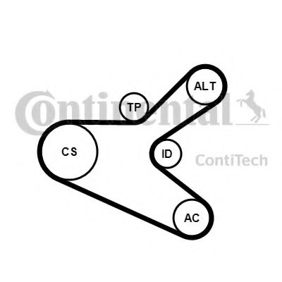 Set curea transmisie cu caneluri