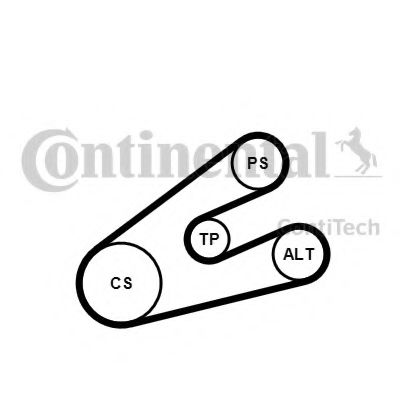 Set curea transmisie cu caneluri