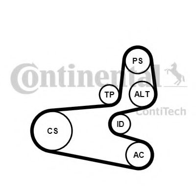 Set curea transmisie cu caneluri