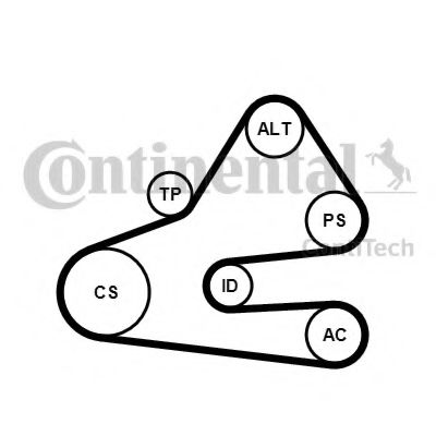 Set curea transmisie cu caneluri