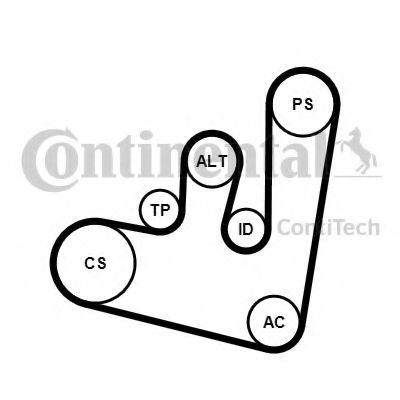 Set curea transmisie cu caneluri