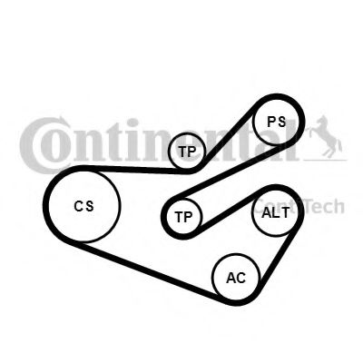 Set curea transmisie cu caneluri