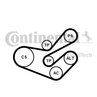 Set curea transmisie cu caneluri