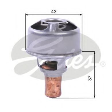 termostat,lichid racire