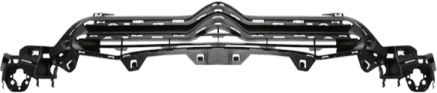Grila radiator