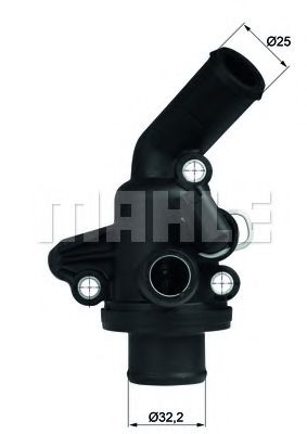 termostat,lichid racire
