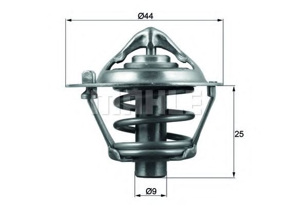 termostat,lichid racire