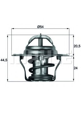 termostat,lichid racire