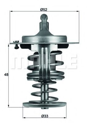 termostat,lichid racire