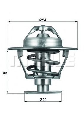 termostat,lichid racire