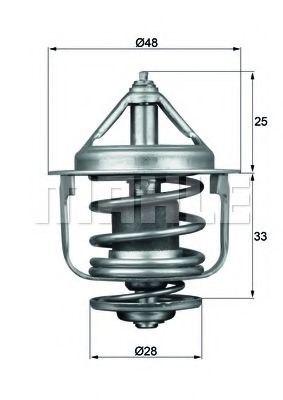 termostat,lichid racire