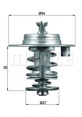 termostat,lichid racire