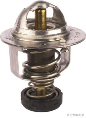 termostat,lichid racire
