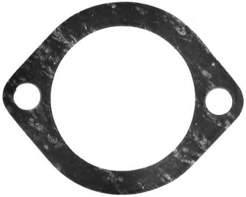 Garnitura termostat