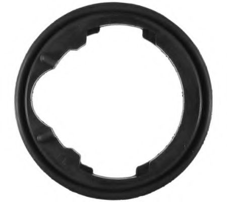 Garnitura termostat