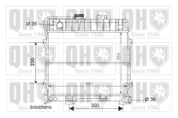 Radiator, racire motor