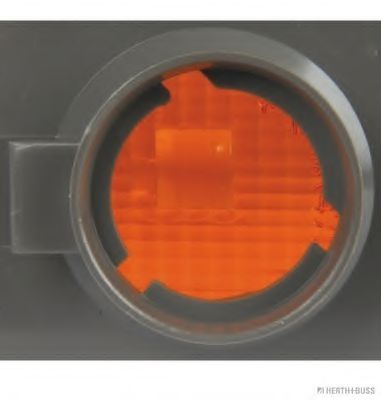 Semnalizator