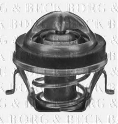termostat,lichid racire