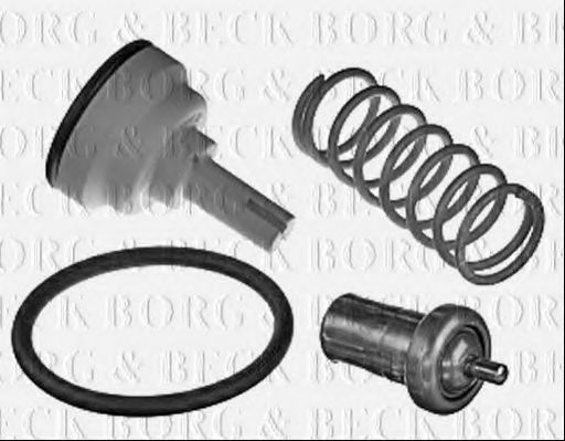 termostat,lichid racire